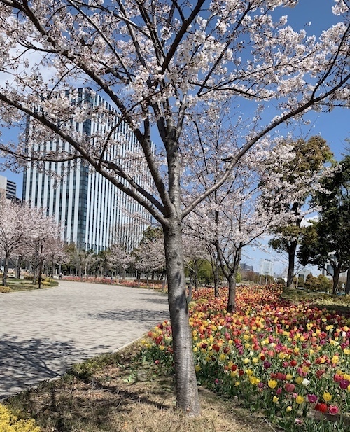 daiba.jpg