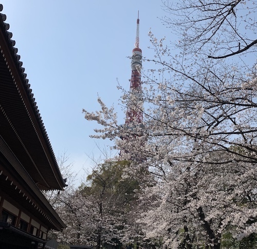 tower_u.jpg